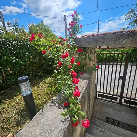 Villa Laura App 2